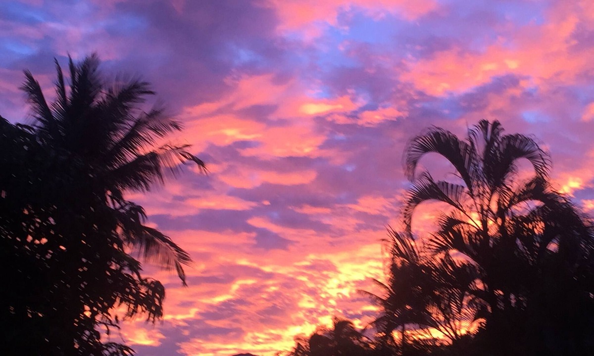 Kihei Condo | #162 Ground Floor Peak Ocean View New Stearns & Foster CA King Bed