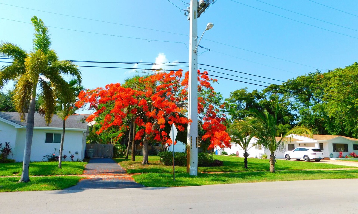 Pompano Beach House | 2HOMES Side By Side,8Bedroom,6.5 Bath,14Beds,32,000 Sq ft land, MIAMI WORLD CUP!