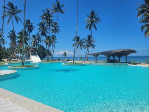 Chwaka Hotel | Antonio Beach Hotel & Spa -with treehouse and biggest swimming pool in East Africa