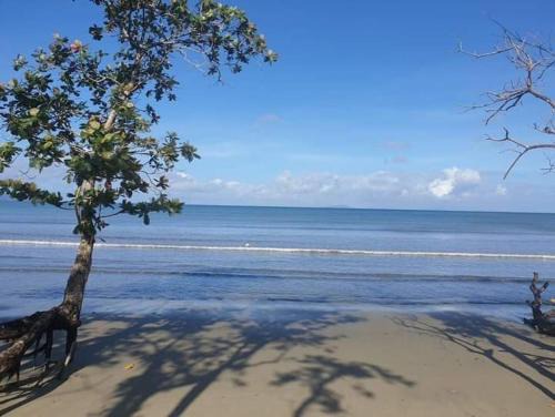 Pacific Harbour Villa | Cozy Bure