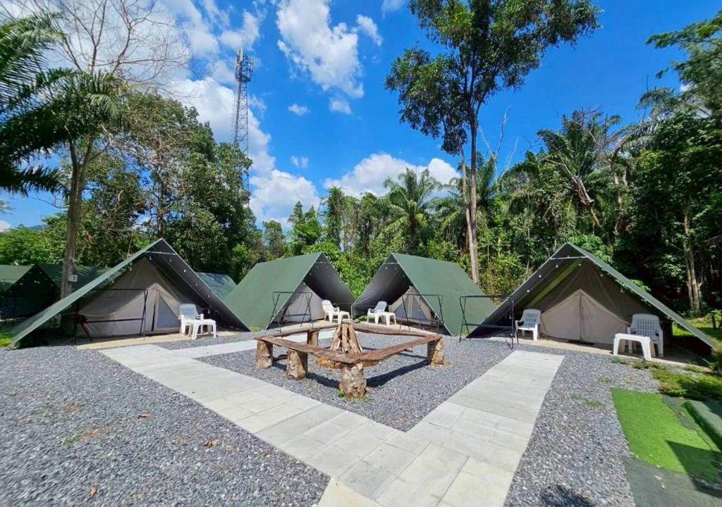 Khlong Sok Hostel | Nahm Khao Sok Hostel and Camping