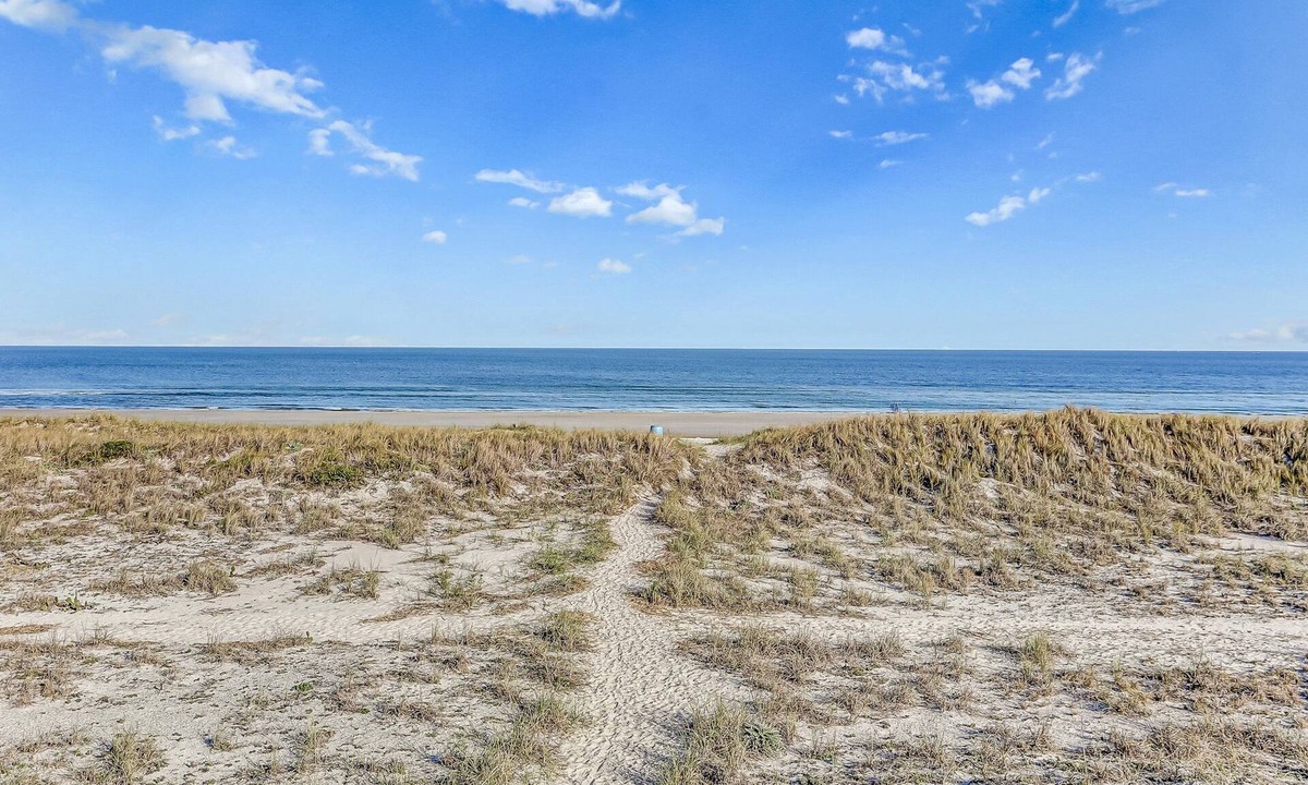 Amelia City Condo | Oceanfront Townhome With Lovely Ocean View, Pool, Fast Wifi & W/D