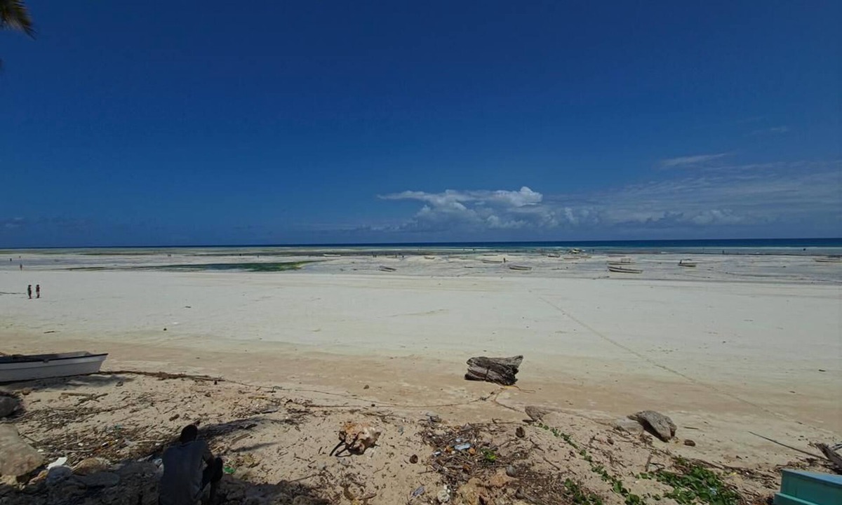 Mkunguni Bed & Breakfast | Peaceful Retreat Steps from the Beach