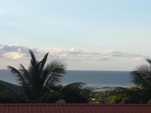 Pirae Apartment | TAHITI - Condo Ariitea