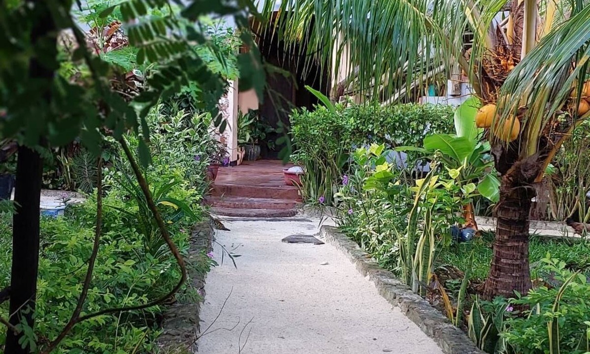 Nungwi Apartment | Welcome to your peaceful Getaway