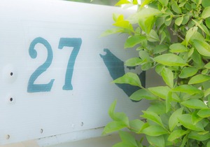 Charming Brant Point 4 bedroom cottage with deck and private yard