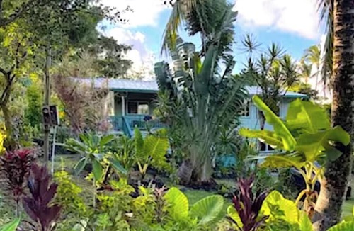 Kehena Apartment | Aloha Bungalow, Garden Level 1 Bedroom, walking distance to Kehena Beach.
