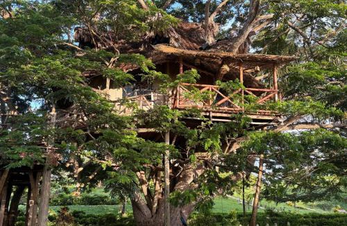 Chwaka Hotel | Antonio Beach Hotel & Spa -with treehouse and biggest swimming pool in East Africa