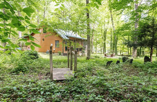 Townsend Cabin | "Bearly Rustic" - 2 bdrm/2 bath - Off the grid, beautiful scenic