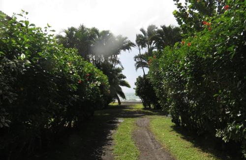 Taravao House | Bungalow Tearo