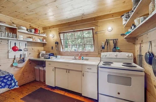 Charlotte Cottage | Classic lakefront cabin w/screened-in porch & mountain views - dogs-friendly
