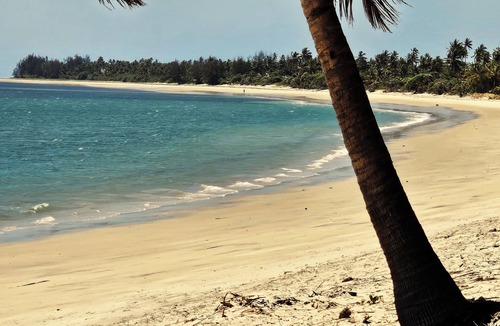 Pangani House | Comfortable beach villa, located directly by the sea, tropical garden
