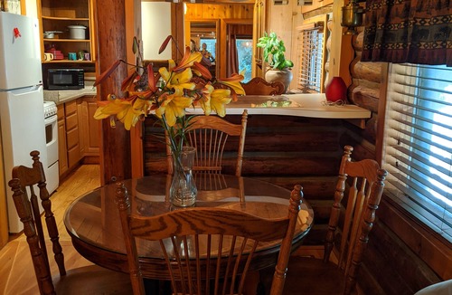 Monroe Cabin | Cozy Log Cabin in peaceful wooded surroundings