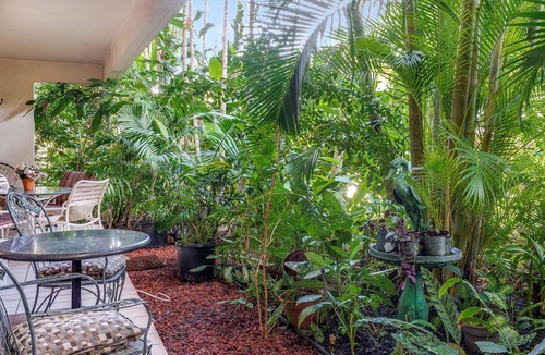 Kihei Hotel | Deluxe Garden View w/WiFi & A/C-Maui Banyan