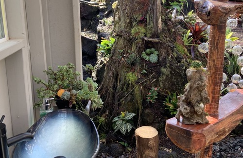 Mountain View House | Exotic garden cottage at amazing volcanic fissure