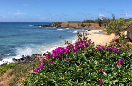 Ualapue House | High-End Resort Condo Nestled on Molokai Shoreline