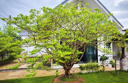Ratchaburi House | Home No 5