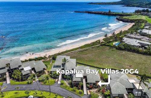Napili House | Kapalua Bay Villas 20G4 · KBV 20G4 Updated OceanFront for Whale