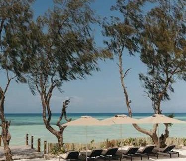 Mkunguni Villa | Luxury Villa in a 5 Star Resort in Kizimkzi Zanzibar