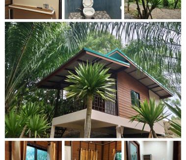 Phanom House | Modern Tor Tao camp