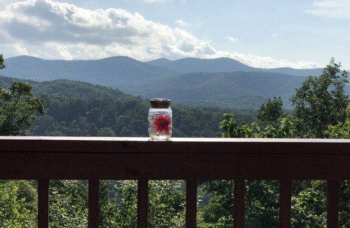 Blue Ridge Cabin | Mountain Top Stunning Views. Peaceful and Secluded. Super Clean.