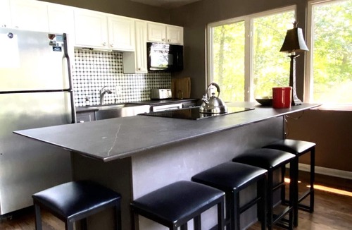 Fairview Ski Chalet | Mtn. View, Hot Tub, Dwntwn Avl & Biltmore 15-20 min, WiFi, Serenity at its best!