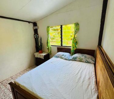 Taveuni Island East House | Niusiladi