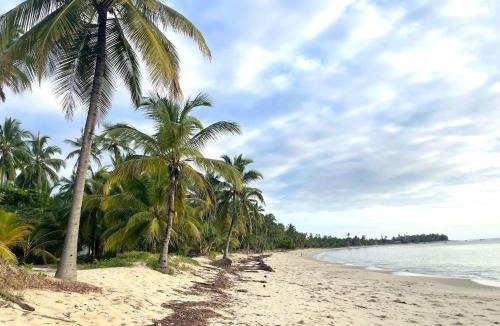 Pangani House | Ocean Dream Villa