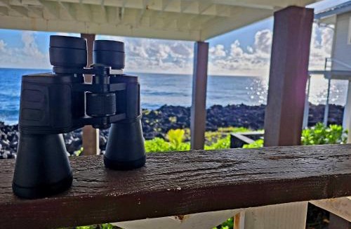 Kapoho House | Oceanfront studio see whales and dolphins