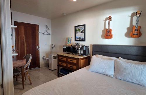 Kapoho House | Oceanfront studio see whales and dolphins
