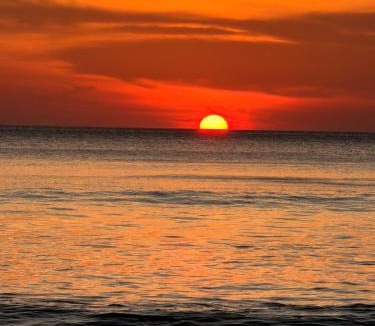 Ranong Resort | Phayam Coconut Beach Resort