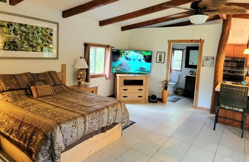 Leilani Estates Apartment | Private Cabin Suite/ SPA see LAVA at Volcano National Park