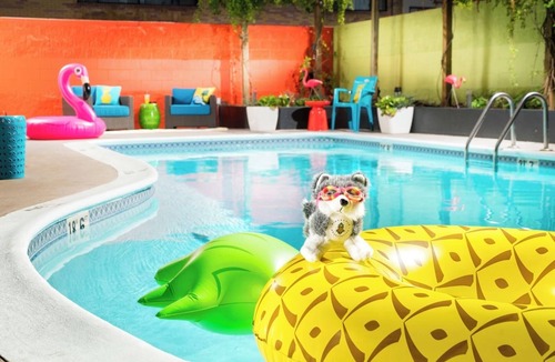 University District Hotel | Refreshing Stay, Two Queen w/Tub, Pet-Friendly, Pineapple Theme, 2 Rooms