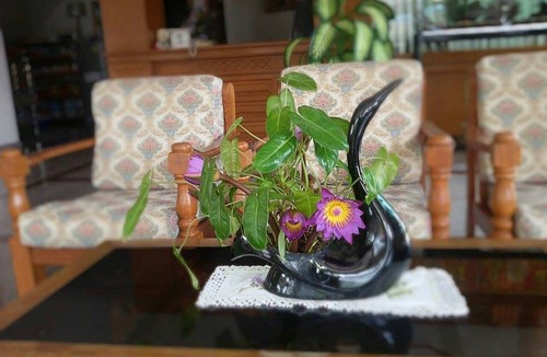 Chumphon Hotel | Ritzy House Hotel