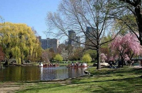 North Brookline Apartment | Shared Apartment Private Room: BU, Longwood/Harvard Medical, Fenway