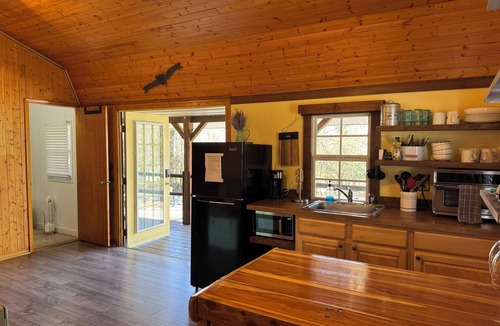 Smoky Mountains Cabin | SMALL RUSTIC cabin, AC/heat, WiFi, dog friendly