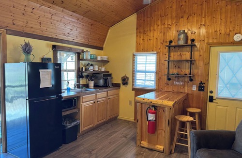 Smoky Mountains Cabin | SMALL RUSTIC cabin, AC/heat, WiFi, dog friendly