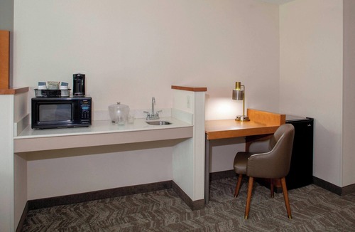 Ellendale Hotel | Springhill Suites Memphis East/Galleria