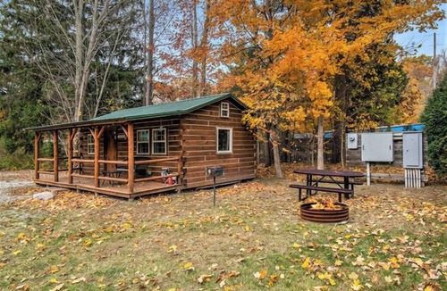 Harbert Cabin | The Driftwood Cabin | Firepit | Serene | Pet-Friendly