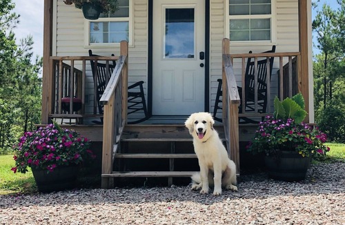 Morris Chapel House | Tiny house/sleeps 4