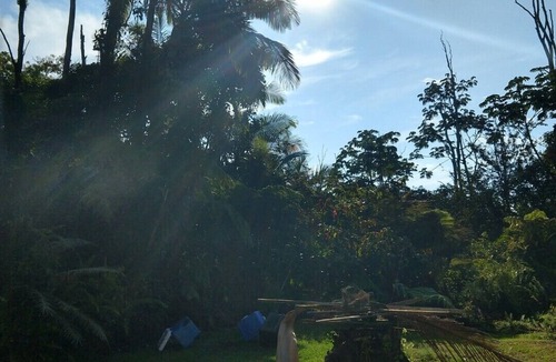 Leilani Estates House | Tropical & modern forest paradise, Exceptional 10/10, all 5 star, guest favorite