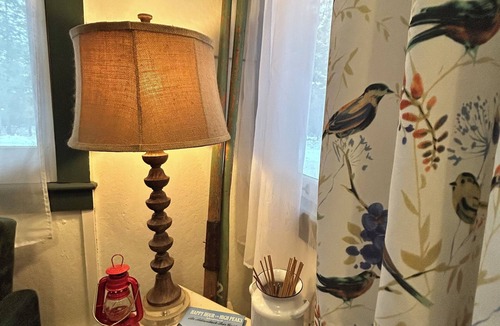 Pottersville Cabin | Vintage ADK Cabin- Great Deal, Perfect Location, book your Gore Mtn. trip today!