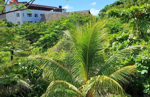 Nungwi Apartment | Welcome to your peaceful Getaway
