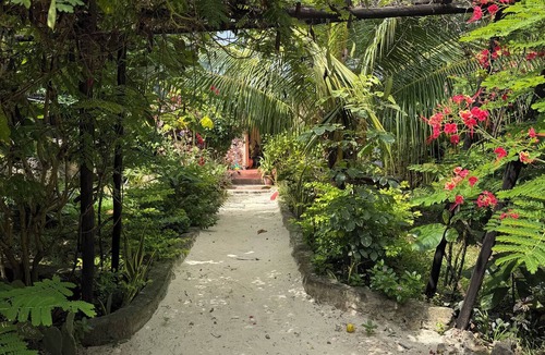 Nungwi Apartment | Welcome to your peaceful Getaway