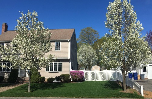Braintree House | #WorldCup2026#Spacious multigenerational home with hot tub. Close to World Cup!