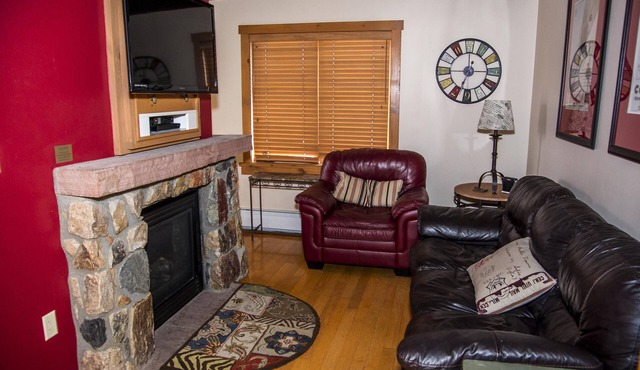 1 Bedroom Gem! Many upgrades-Top Floor with vaulted ceilings. Extra Murphy Bed