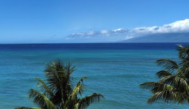 2 Bedroom Ocean View Condo - Valley Isle 509
