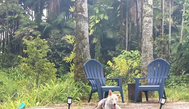 A Rainforest Retreat 20 minutes to Hilo and Volcano National Park