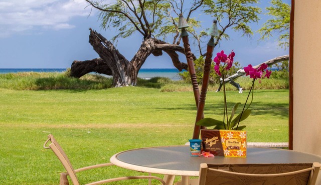 Aloha Aku Hula Suite – Find Peace by the Shore