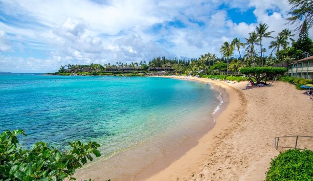 Authentic Hawaii Adventure! 2 Relaxing Units, Pool, Near Whalers Village